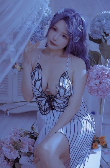 幻乐森林免费观看完整版